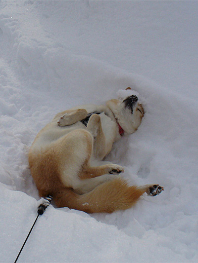 2006年2月すりすり雪の中