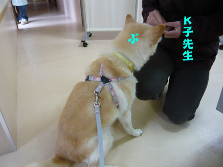 今日のおやつは何?