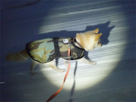 スタコラサッサ。" スタラコラサッサ。