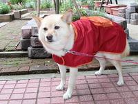 04_0522_111027m.jpg